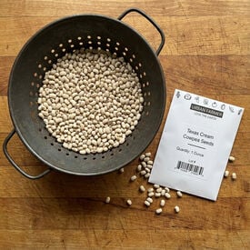 Texas Cream, Cowpea Seeds